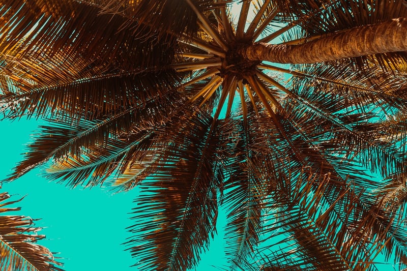 Tropical beach